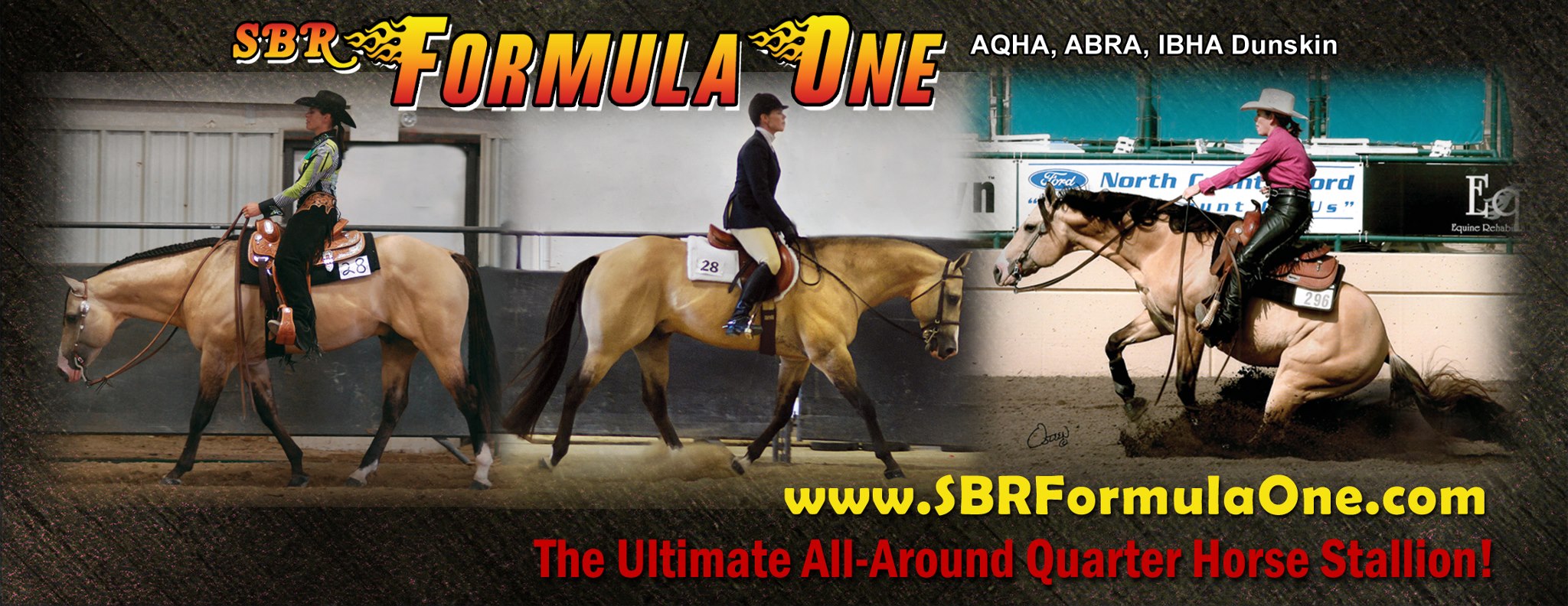 SBR Formula One - Buckskin Dun Quarter Horse Stallion